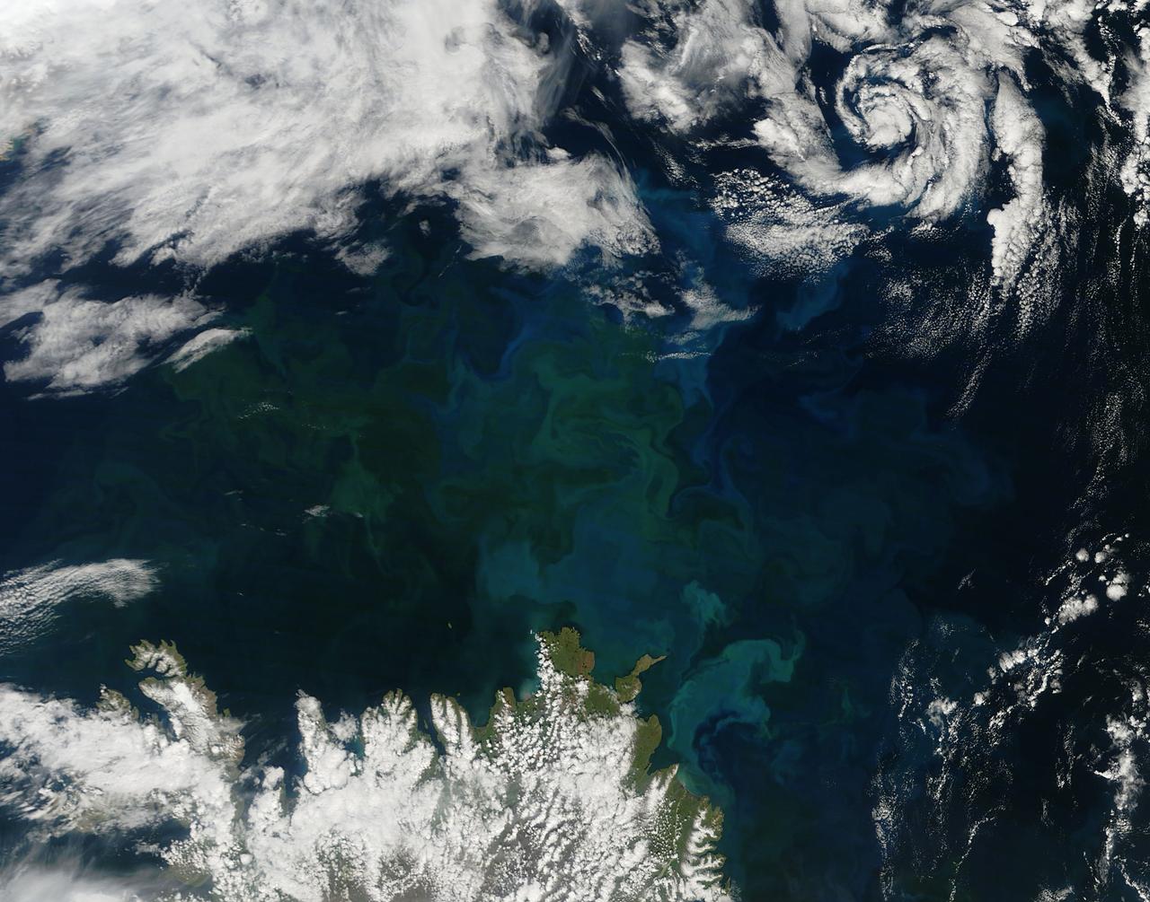 A massive phytoplankton bloom stained the waters of the Atlantic Ocean north of Iceland with brilliant jewel tones in late summer, 2014. The Moderate Resolution Imaging Spectroradiometer (MODIS) aboard NASA’s Aqua satellite captured this true-color image on August 2. Huge colonies of the floating, plant-like organisms create swirls of green, teal and turquoise and cover over 80% of the visible ocean off the northeast coast of Iceland.  Marine phytoplankton require just the right amount of sunlight, dissolved nutrients and water temperatures which are not too hot, nor too cold to spark explosive reproduction and result in blooms which can cover hundreds of square kilometers. Phytoplankton form the base of the marine food chain, and are a rich food source for zooplankton, fish and other marine species. Some species, however, can deplete the water of oxygen and may become toxic to marine life.  Credit: NASA/GSFC/Jeff Schmaltz/MODIS Land Rapid Response Team    <b><a href="http://www.nasa.gov/audience/formedia/features/MP_Photo_Guidelines.html" rel="nofollow">NASA image use policy.</a></b>   <b><a href="http://www.nasa.gov/centers/goddard/home/index.html" rel="nofollow">NASA Goddard Space Flight Center</a></b> enables NASA’s mission through four scientific endeavors: Earth Science, Heliophysics, Solar System Exploration, and Astrophysics. Goddard plays a leading role in NASA’s accomplishments by contributing compelling scientific knowledge to advance the Agency’s mission.  <b>Follow us on <a href="http://twitter.com/NASAGoddardPix" rel="nofollow">Twitter</a></b>  <b>Like us on <a href="http://www.facebook.com/pages/Greenbelt-MD/NASA-Goddard/395013845897?ref=tsd" rel="nofollow">Facebook</a></b>  <b>Find us on <a href="http://instagram.com/nasagoddard?vm=grid" rel="nofollow">Instagram</a></b>