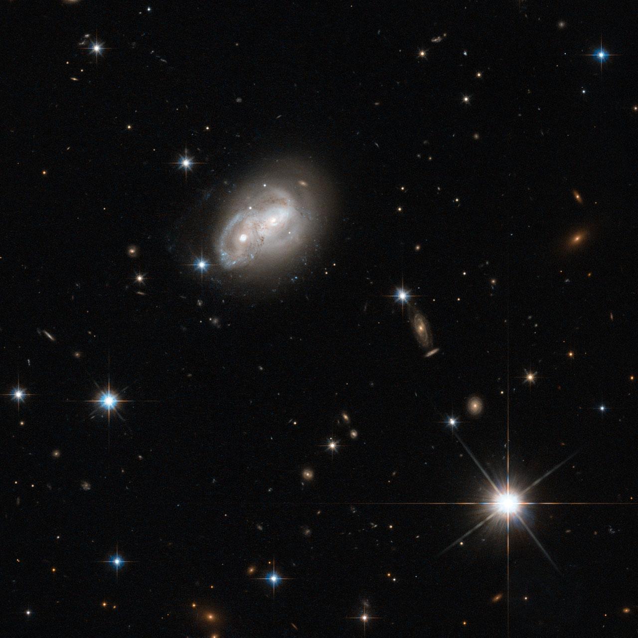 From objects as small as Newton's apple to those as large as a galaxy, no physical body is free from the stern bonds of gravity, as evidenced in this stunning picture captured by the Wide Field Camera 3 and Advanced Camera for Surveys onboard the NASA/ESA Hubble Space Telescope.  Here we see two spiral galaxies engaged in a cosmic tug-of-war — but in this contest, there will be no winner. The structures of both objects are slowly distorted to resemble new forms, and in some cases, merge together to form new, super galaxies. This particular fate is similar to that of the Milky Way Galaxy, when it will ultimately merge with our closest galactic partner, the Andromeda Galaxy. There is no need to panic however, as this process takes several hundreds of millions of years.  Not all interacting galaxies result in mergers though. The merger is dependent on the mass of each galaxy, as well as the relative velocities of each body. It is quite possible that the event pictured here, romantically named 2MASX J06094582-2140234, will avoid a merger event altogether, and will merely distort the arms of each spiral without colliding — the cosmic equivalent of a hair ruffling!  These galactic interactions also trigger new regions of star formation in the galaxies involved, causing them to be extremely luminous in the infrared part of the spectrum. For this reason, these types of galaxies are referred to as LIRGs, or Luminous Infrared Galaxies. This image was taken as part of as part of a Hubble survey of the central regions of LIRGs in the local Universe, which also used the Near Infrared Camera and Multi-Object Spectrometer (NICMOS) instrument.  Credit: ESA/Hubble &amp; NASA, Acknowledgement: Luca Limatola   <b><a href="http://www.nasa.gov/audience/formedia/features/MP_Photo_Guidelines.html" rel="nofollow">NASA image use policy.</a></b>   <b><a href="http://www.nasa.gov/centers/goddard/home/index.html" rel="nofollow">NASA Goddard Space Flight Center</a></b> enables NASA’s mission through four scientific endeavors: Earth Science, Heliophysics, Solar System Exploration, and Astrophysics. Goddard plays a leading role in NASA’s accomplishments by contributing compelling scientific knowledge to advance the Agency’s mission.  <b>Follow us on <a href="http://twitter.com/NASAGoddardPix" rel="nofollow">Twitter</a></b>  <b>Like us on <a href="http://www.facebook.com/pages/Greenbelt-MD/NASA-Goddard/395013845897?ref=tsd" rel="nofollow">Facebook</a></b>  <b>Find us on <a href="http://instagram.com/nasagoddard?vm=grid" rel="nofollow">Instagram</a></b>
