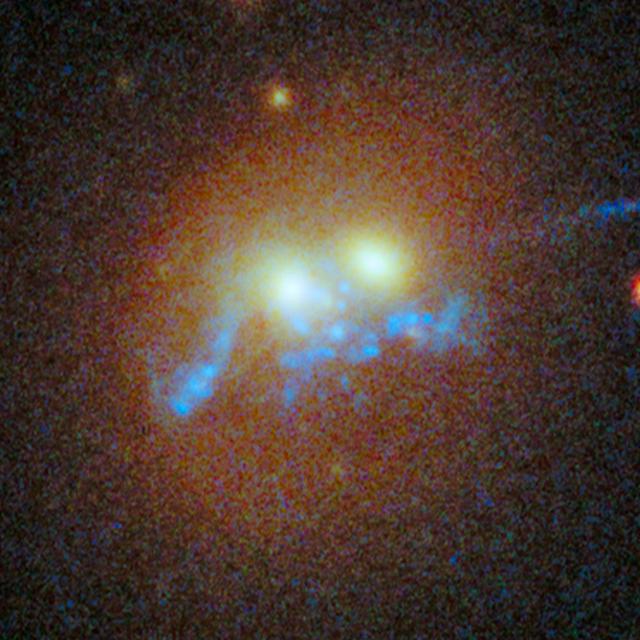 NASA's Hubble Space Telescope has photographed the dense galaxy cluster SDSS J1531+3414 in the northern constellation Corona Borealis. Made up primarily of giant elliptical galaxies with a few spirals and irregular galaxies thrown in for good measure, the cluster's powerful gravity warps the image of background galaxies into blue streaks and arcs.  At the center of the bull's-eye of blue, gravitationally lensed filaments lies a pair of elliptical galaxies that are also exhibiting some interesting features. A 100,000-light-year-long structure that looks like a string of pearls twisted into a corkscrew shape winds around the cores of the two massive galaxies. The &quot;pearls&quot; are superclusters of blazing, blue-white, newly born stars. These super star clusters are evenly spaced along the chain at separations of 3,000 light-years from one another.  Read more: <a href="http://1.usa.gov/1ztQvL9" rel="nofollow">1.usa.gov/1ztQvL9</a>  Credit: NASA/ESA  <b><a href="http://www.nasa.gov/audience/formedia/features/MP_Photo_Guidelines.html" rel="nofollow">NASA image use policy.</a></b>    <b><a href="http://www.nasa.gov/centers/goddard/home/index.html" rel="nofollow">NASA Goddard Space Flight Center</a></b> enables NASA’s mission through four scientific endeavors: Earth Science, Heliophysics, Solar System Exploration, and Astrophysics. Goddard plays a leading role in NASA’s accomplishments by contributing compelling scientific knowledge to advance the Agency’s mission.  <b>Follow us on <a href="http://twitter.com/NASAGoddardPix" rel="nofollow">Twitter</a></b>  <b>Like us on <a href="http://www.facebook.com/pages/Greenbelt-MD/NASA-Goddard/395013845897?ref=tsd" rel="nofollow">Facebook</a></b>  <b>Find us on <a href="http://instagram.com/nasagoddard?vm=grid" rel="nofollow">Instagram</a></b>