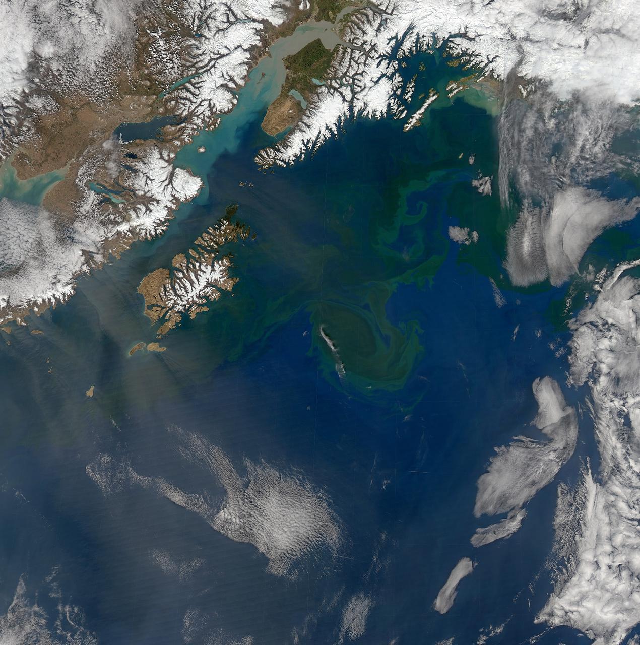 Increasing solar illumination brings increased phytoplankton growth to the Gulf of Alaska every spring, and this year is no exception. This image was collected on May 9, 2014 during a single orbit of Aqua-MODIS. High res: <a href="http://oceancolor.gsfc.nasa.gov/FEATURE/IMAGES/A2014129224500.GulfOfAlaska.half.jpg" rel="nofollow">oceancolor.gsfc.nasa.gov/FEATURE/IMAGES/A2014129224500.Gu...</a> Credit: NASA/Goddard/OceanColor/MODIS <b><a href="http://www.nasa.gov/audience/formedia/features/MP_Photo_Guidelines.html" rel="nofollow">NASA image use policy.</a></b> <b><a href="http://www.nasa.gov/centers/goddard/home/index.html" rel="nofollow">NASA Goddard Space Flight Center</a></b> enables NASA’s mission through four scientific endeavors: Earth Science, Heliophysics, Solar System Exploration, and Astrophysics. Goddard plays a leading role in NASA’s accomplishments by contributing compelling scientific knowledge to advance the Agency’s mission. <b>Follow us on <a href="http://twitter.com/NASAGoddardPix" rel="nofollow">Twitter</a></b> <b>Like us on <a href="http://www.facebook.com/pages/Greenbelt-MD/NASA-Goddard/395013845897?ref=tsd" rel="nofollow">Facebook</a></b> <b>Find us on <a href="http://instagram.com/nasagoddard?vm=grid" rel="nofollow">Instagram</a></b>