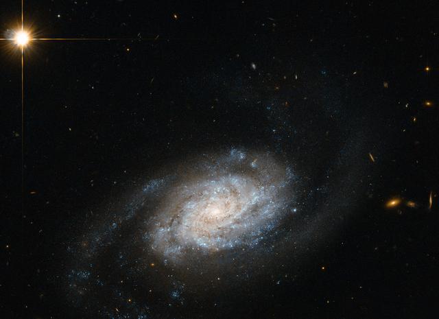 Shown here is a spiral galaxy known as NGC 3455, which lies some 65 million light-years away from us in the constellation of Leo (the Lion).  Galaxies are classified into different types according to their structure and appearance. This classification system is known as the Hubble Sequence, named after its creator Edwin Hubble. In this image released 14, April, 2014, NGC 3455 is known as a type SB galaxy — a barred spiral. Barred spiral galaxies account for approximately two thirds of all spirals. Galaxies of this type appear to have a bar of stars slicing through the bulge of stars at their center. The SB classification is further sub-divided by the appearance of a galaxy's pinwheeling spiral arms; SBa types have more tightly wound arms, whereas SBc types have looser ones. SBb types, such as NGC 3455, lie in between.  NGC 3455 is part of a pair of galaxies — its partner, NGC 3454, lies out of frame. This cosmic duo belong to a group known as the NGC 3370 group, which is in turn one of the Leo II groups, a large collection of galaxies scattered some 30 million light-years to the right of the Virgo cluster.  This image is from Hubble's Advanced Camera for Surveys.  Credit:  ESA/Hubble &amp; NASA, Acknowledgement: Nick Rose  <b><a href="http://www.nasa.gov/audience/formedia/features/MP_Photo_Guidelines.html" rel="nofollow">NASA image use policy.</a></b>  <b><a href="http://www.nasa.gov/centers/goddard/home/index.html" rel="nofollow">NASA Goddard Space Flight Center</a></b> enables NASA’s mission through four scientific endeavors: Earth Science, Heliophysics, Solar System Exploration, and Astrophysics. Goddard plays a leading role in NASA’s accomplishments by contributing compelling scientific knowledge to advance the Agency’s mission.  <b>Follow us on <a href="http://twitter.com/NASAGoddardPix" rel="nofollow">Twitter</a></b>  <b>Like us on <a href="http://www.facebook.com/pages/Greenbelt-MD/NASA-Goddard/395013845897?ref=tsd" rel="nofollow">Facebook</a></b>  <b>Find us on <a href="http://instagram.com/nasagoddard?vm=grid" rel="nofollow">Instagram</a></b>