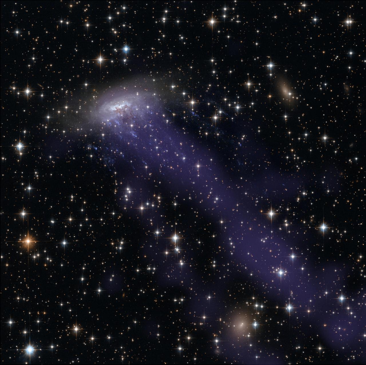 This image combines NASA/ESA Hubble Space Telescope observations with data from the Chandra X-ray Observatory. As well as the electric blue ram pressure stripping streaks seen emanating from ESO 137-001, a giant gas stream can be seen extending towards the bottom of the frame, only visible in the X-ray part of the spectrum.  Credit: NASA, ESA, CXC  The spiral galaxy ESO 137-001 looks like a dandelion caught in a breeze in this new Hubble Space Telescope image.  The galaxy is zooming toward the upper right of this image, in between other galaxies in the Norma cluster located over 200 million light-years away. The road is harsh: intergalactic gas in the Norma cluster is sparse, but so hot at 180 million degrees Fahrenheit that it glows in X-rays.  The spiral plows through the seething intra-cluster gas so rapidly – at nearly 4.5 million miles per hour — that much of its own gas is caught and torn away. Astronomers call this &quot;ram pressure stripping.&quot; The galaxy’s stars remain intact due to the binding force of their gravity.  Tattered threads of gas, the blue jellyfish-tendrils trailing ESO 137-001 in the image, illustrate the process. Ram pressure has strung this gas away from its home in the spiral galaxy and out over intergalactic space. Once there, these strips of gas have erupted with young, massive stars, which are pumping out light in vivid blues and ultraviolet. The brown, smoky region near the center of the spiral is being pushed in a similar manner, although in this case it is small dust particles, and not gas, that are being dragged backwards by the intra-cluster medium.  Read more here: <a href="http://1.usa.gov/P0HSFh" rel="nofollow">1.usa.gov/P0HSFh</a>  <b><a href="http://www.nasa.gov/audience/formedia/features/MP_Photo_Guidelines.html" rel="nofollow">NASA image use policy.</a></b>   <b><a href="http://www.nasa.gov/centers/goddard/home/index.html" rel="nofollow">NASA Goddard Space Flight Center</a></b> enables NASA’s mission through four scientific endeavors: Earth Science, Heliophysics, Solar System Exploration, and Astrophysics. Goddard plays a leading role in NASA’s accomplishments by contributing compelling scientific knowledge to advance the Agency’s mission.   <b>Follow us on <a href="http://twitter.com/NASAGoddardPix" rel="nofollow">Twitter</a></b>   <b>Like us on <a href="http://www.facebook.com/pages/Greenbelt-MD/NASA-Goddard/395013845897?ref=tsd" rel="nofollow">Facebook</a></b>   <b>Find us on <a href="http://instagram.com/nasagoddard?vm=grid" rel="nofollow">Instagram</a></b>