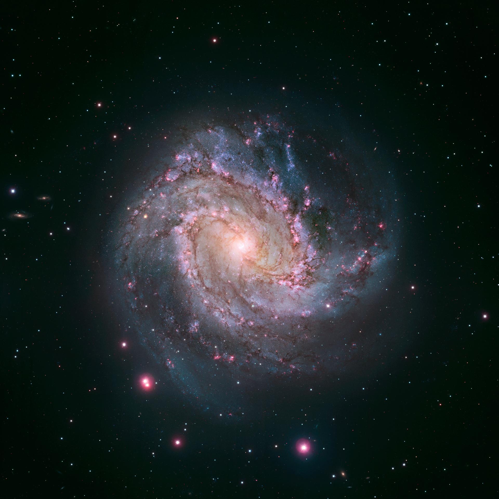 Het Zuidelijk Windmolenstelsel M83, een staafspiraalstelsel met felroze stervormingsgebieden langs de spiraalarmen, gefotografeerd door de Hubble-ruimtetelescoop