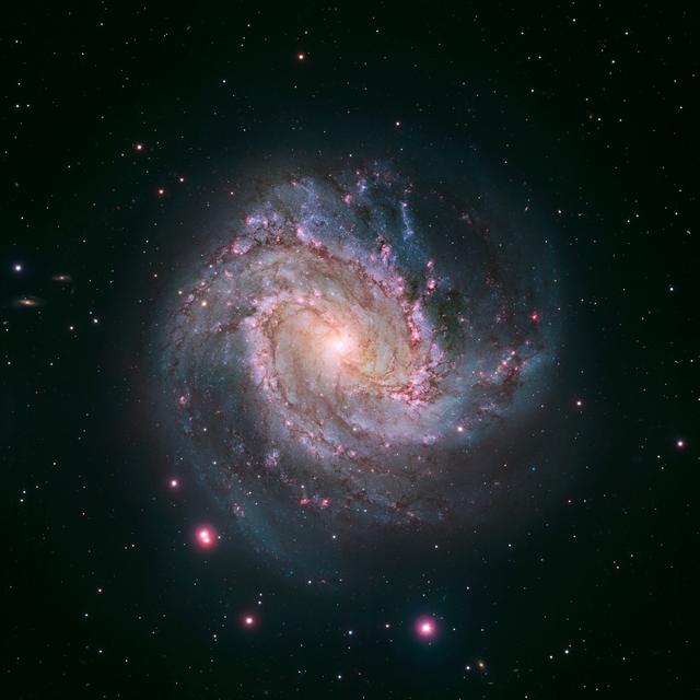 NASA image: spiral galaxy M83