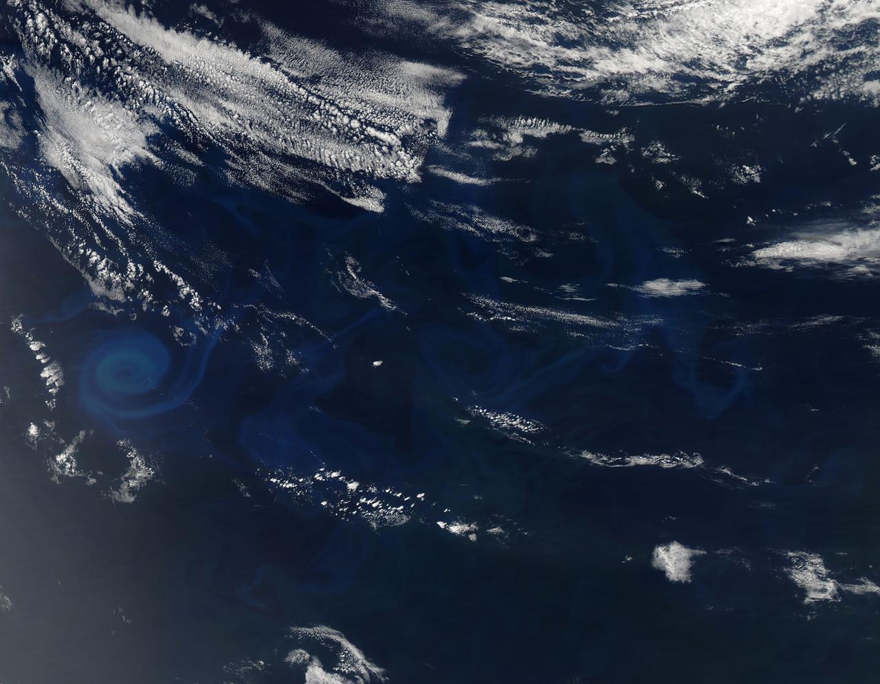 Phytoplankton bloom in the Great Australian Bight captured by the MODIS instrument on the Aqua satellite on December 30, 2013 at 6:05 UTC.  The Great Australian Bight is a large bight, or open bay, off the central and western portions of the southern coastline of mainland Australia.  Credit: NASA/GSFC/Jeff Schmaltz/MODIS Land Rapid Response Team   <b><a href="http://www.nasa.gov/audience/formedia/features/MP_Photo_Guidelines.html" rel="nofollow">NASA image use policy.</a></b>  <b><a href="http://www.nasa.gov/centers/goddard/home/index.html" rel="nofollow">NASA Goddard Space Flight Center</a></b> enables NASA’s mission through four scientific endeavors: Earth Science, Heliophysics, Solar System Exploration, and Astrophysics. Goddard plays a leading role in NASA’s accomplishments by contributing compelling scientific knowledge to advance the Agency’s mission.  <b>Follow us on <a href="http://twitter.com/NASA_GoddardPix" rel="nofollow">Twitter</a></b>  <b>Like us on <a href="http://www.facebook.com/pages/Greenbelt-MD/NASA-Goddard/395013845897?ref=tsd" rel="nofollow">Facebook</a></b>  <b>Find us on <a href="http://instagram.com/nasagoddard?vm=grid" rel="nofollow">Instagram</a></b>