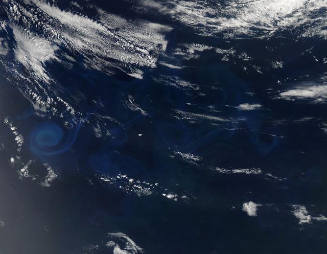 NASA image: Phytoplankton Bloom off Coast of Australia