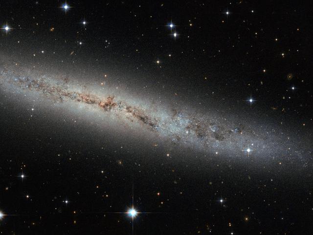 Located some 25 million light-years away, this new Hubble image shows spiral galaxy ESO 373-8. Together with at least seven of its galactic neighbors, this galaxy is a member of the NGC 2997 group. We see it side-on as a thin, glittering streak across the sky, with all its contents neatly aligned in the same plane. We see so many galaxies like this — flat, stretched-out pancakes — that our brains barely process their shape. But let us stop and ask: Why are galaxies stretched out and aligned like this? Try spinning around in your chair with your legs and arms out. Slowly pull your legs and arms inwards, and tuck them in against your body. Notice anything? You should have started spinning faster. This effect is due to conservation of angular momentum, and it’s true for galaxies, too. This galaxy began life as a humungous ball of slowly rotating gas. Collapsing in upon itself, it spun faster and faster until, like pizza dough spinning and stretching in the air, a disc started to form. Anything that bobbed up and down through this disk was pulled back in line with this motion, creating a streamlined shape. Angular momentum is always conserved — from a spinning galactic disk 25 million light-years away from us, to any astronomer, or astronomer-wannabe, spinning in an office chair. Credit: NASA <b><a href="http://www.nasa.gov/audience/formedia/features/MP_Photo_Guidelines.html" rel="nofollow">NASA image use policy.</a></b> <b><a href="http://www.nasa.gov/centers/goddard/home/index.html" rel="nofollow">NASA Goddard Space Flight Center</a></b> enables NASA’s mission through four scientific endeavors: Earth Science, Heliophysics, Solar System Exploration, and Astrophysics. Goddard plays a leading role in NASA’s accomplishments by contributing compelling scientific knowledge to advance the Agency’s mission. <b>Follow us on <a href="http://twitter.com/NASA_GoddardPix" rel="nofollow">Twitter</a></b> <b>Like us on <a href="http://www.facebook.com/pages/Greenbelt-MD/NASA-Goddard/395013845897?ref=tsd" rel="nofollow">Facebook</a></b> <b>Find us on <a href="http://instagram.com/nasagoddard?vm=grid" rel="nofollow">Instagram</a></b>