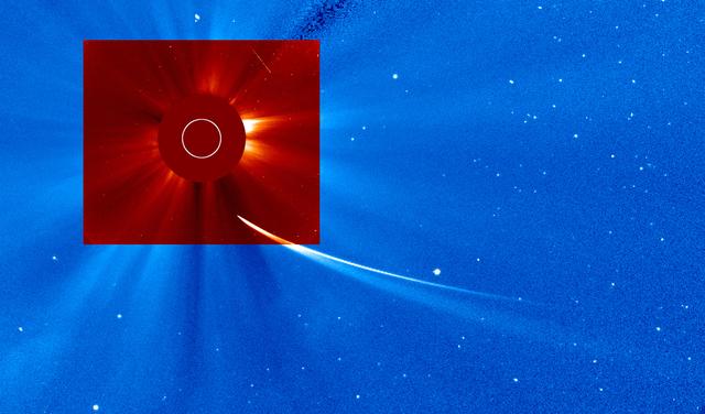 A merger of SOHO LASACO C2 data observed at 12:42 pm and C3 observed at 12:37 pm on November 28, 2013.  Credit NASA/Goddard/SOHO