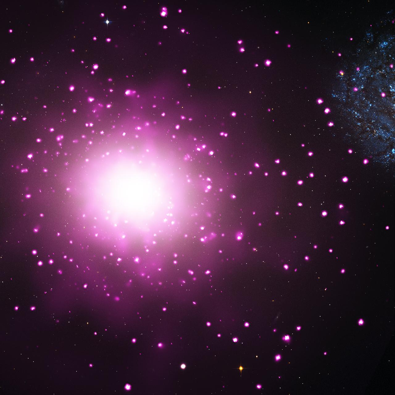 SEPTEMBER 24, 2013: Astronomers may have found the densest galaxy in the nearby universe. The galaxy, known as M60-UCD1, is located near a massive elliptical galaxy NGC 4649, also called M60, about 54 million light-years from Earth. This composite image shows M60 and the region around it, where data from NASA's Chandra X-ray Observatory are pink and data from NASA's Hubble Space Telescope are red, green, and blue. The Chandra image shows hot gas and double stars containing black holes and neutron stars, and the Hubble image reveals stars in M60 and neighboring galaxies including M60-UCD1. The arrow points to M60-UCD1. Packed with an extraordinary number of stars, M60-UCD1 is an "ultra-compact dwarf galaxy." It is one of the most massive galaxies of its kind, weighing 200 million times more than our Sun, based on observations with the Keck 10-meter telescope in Hawaii. Remarkably, about half of this mass is found within a radius of only about 80 light-years. This would make the density of stars about 15,000 times greater than found in Earth's neighborhood in the Milky Way, meaning that the stars are about 25 times closer. For more information about M60-UCD1, visit <a href="http://chandra.si.edu/press/13_releases/press_092413.html" rel="nofollow">chandra.si.edu/press/13_releases/press_092413.html</a> Credit: NASA, ESA, CXC, and J. Strader (Michigan State University) <b><a href="http://www.nasa.gov/audience/formedia/features/MP_Photo_Guidelines.html" rel="nofollow">NASA image use policy.</a></b> <b><a href="http://www.nasa.gov/centers/goddard/home/index.html" rel="nofollow">NASA Goddard Space Flight Center</a></b> enables NASA’s mission through four scientific endeavors: Earth Science, Heliophysics, Solar System Exploration, and Astrophysics. Goddard plays a leading role in NASA’s accomplishments by contributing compelling scientific knowledge to advance the Agency’s mission. <b>Follow us on <a href="http://twitter.com/NASA_GoddardPix" rel="nofollow">Twitter</a></b> <b>Like us on <a href="http://www.facebook.com/pages/Greenbelt-MD/NASA-Goddard/395013845897?ref=tsd" rel="nofollow">Facebook</a></b> <b>Find us on <a href="http://instagram.com/nasagoddard?vm=grid" rel="nofollow">Instagram</a></b>