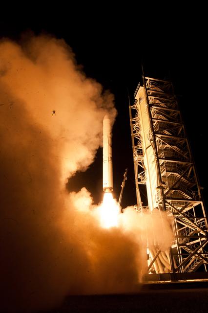 NASA image: Frog Photobombs NASA's LADEE Launch