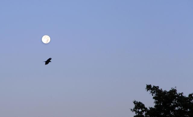 NASA image: Harvest Moon at NASA Goddard