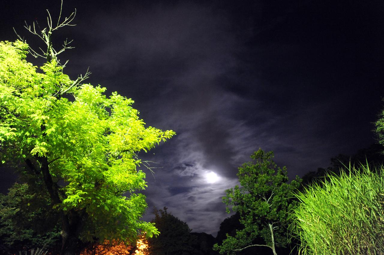 September's Harvest Moon as seen around NASA's Goddard Space Flight Center.  According to folklore, every full Moon has a special name.  There's the Wolf Moon, the Snow Moon, the Worm Moon,  the Sprouting Grass Moon,  the Flower Moon,  the Strawberry Moon, the Thunder Moon,  the Sturgeon Moon, the Harvest Moon, the Hunter's Moon, the Beaver Moon, and the Long Night's Moon. Each name tells us something about the season or month in which the full Moon appears.  This month's full Moon is the Harvest Moon.  More about the Harvest Moon from NASA: Science <a href="http://1.usa.gov/16lb1eZ" rel="nofollow">1.usa.gov/16lb1eZ</a>  Credit: NASA/Goddard/Debbie Mccallum  <b><a href="http://www.nasa.gov/audience/formedia/features/MP_Photo_Guidelines.html" rel="nofollow">NASA image use policy.</a></b>  <b><a href="http://www.nasa.gov/centers/goddard/home/index.html" rel="nofollow">NASA Goddard Space Flight Center</a></b> enables NASA’s mission through four scientific endeavors: Earth Science, Heliophysics, Solar System Exploration, and Astrophysics. Goddard plays a leading role in NASA’s accomplishments by contributing compelling scientific knowledge to advance the Agency’s mission.  <b>Follow us on <a href="http://twitter.com/NASA_GoddardPix" rel="nofollow">Twitter</a></b>  <b>Like us on <a href="http://www.facebook.com/pages/Greenbelt-MD/NASA-Goddard/395013845897?ref=tsd" rel="nofollow">Facebook</a></b>  <b>Find us on <a href="http://instagram.com/nasagoddard?vm=grid" rel="nofollow">Instagram</a></b>