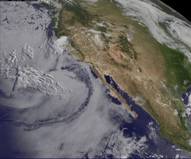 NASA image: Satellite Shows West Coast "June Gloom" and Actinoform clouds