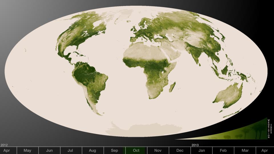Subtle vegetation changes are visible in this year-long visualization.  Large-scale patterns vary with seasons, but the local variations in green are also sensitive precipitation, drought and fire. High values of Normalized Difference Vegetation Index, or NDVI, represent dense green functioning vegetation and low NDVI values represent sparse green vegetation or vegetation under stress from limiting conditions, such as drought.   The visualization was created from a year’s worth of data from April 2012 to April 2013. The information was sent back to Earth from the Visible-Infrared Imager/Radiometer Suite (VIIRS) instrument aboard the Suomi National Polar-orbiting Partnership or Suomi NPP satellite, a partnership between NASA and the National Oceanic and Atmospheric Administration, or NOAA.  Credit: NASA/NOAA  To read more go to: <a href="http://www.nasa.gov/mission_pages/NPP/news/vegetation.html" rel="nofollow">www.nasa.gov/mission_pages/NPP/news/vegetation.html</a>  <b><a href="http://www.nasa.gov/audience/formedia/features/MP_Photo_Guidelines.html" rel="nofollow">NASA image use policy.</a></b>  <b><a href="http://www.nasa.gov/centers/goddard/home/index.html" rel="nofollow">NASA Goddard Space Flight Center</a></b> enables NASA’s mission through four scientific endeavors: Earth Science, Heliophysics, Solar System Exploration, and Astrophysics. Goddard plays a leading role in NASA’s accomplishments by contributing compelling scientific knowledge to advance the Agency’s mission.  <b>Follow us on <a href="http://twitter.com/NASA_GoddardPix" rel="nofollow">Twitter</a></b>  <b>Like us on <a href="http://www.facebook.com/pages/Greenbelt-MD/NASA-Goddard/395013845897?ref=tsd" rel="nofollow">Facebook</a></b>  <b>Find us on <a href="http://instagram.com/nasagoddard?vm=grid" rel="nofollow">Instagram</a></b>