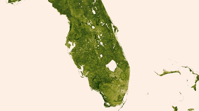A "river of grass" extending south of Lake Okeechobee shows how the area was modified by man with visible areas of dense agriculture, urban sprawl and water conservation areas delineated by a series of waterways that crisscross Southern Florida. The image was created March 18-24, 2013 from the Visible-Infrared Imager/Radiometer Suite (VIIRS) instrument aboard the Suomi National Polar-orbiting Partnership or Suomi NPP satellite, a partnership between NASA and the National Oceanic and Atmospheric Administration, or NOAA. Credit: NASA/NOAA To read more go to: <a href="http://www.nasa.gov/mission_pages/NPP/news/vegetation.html" rel="nofollow">www.nasa.gov/mission_pages/NPP/news/vegetation.html</a> <b><a href="http://www.nasa.gov/audience/formedia/features/MP_Photo_Guidelines.html" rel="nofollow">NASA image use policy.</a></b> <b><a href="http://www.nasa.gov/centers/goddard/home/index.html" rel="nofollow">NASA Goddard Space Flight Center</a></b> enables NASA’s mission through four scientific endeavors: Earth Science, Heliophysics, Solar System Exploration, and Astrophysics. Goddard plays a leading role in NASA’s accomplishments by contributing compelling scientific knowledge to advance the Agency’s mission. <b>Follow us on <a href="http://twitter.com/NASA_GoddardPix" rel="nofollow">Twitter</a></b> <b>Like us on <a href="http://www.facebook.com/pages/Greenbelt-MD/NASA-Goddard/395013845897?ref=tsd" rel="nofollow">Facebook</a></b> <b>Find us on <a href="http://instagram.com/nasagoddard?vm=grid" rel="nofollow">Instagram</a></b>