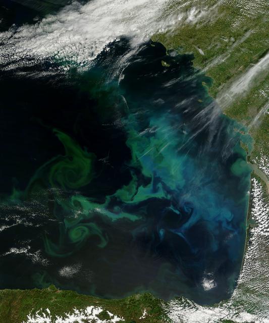NASA image: Phytoplankton bloom in the Bay of Biscay