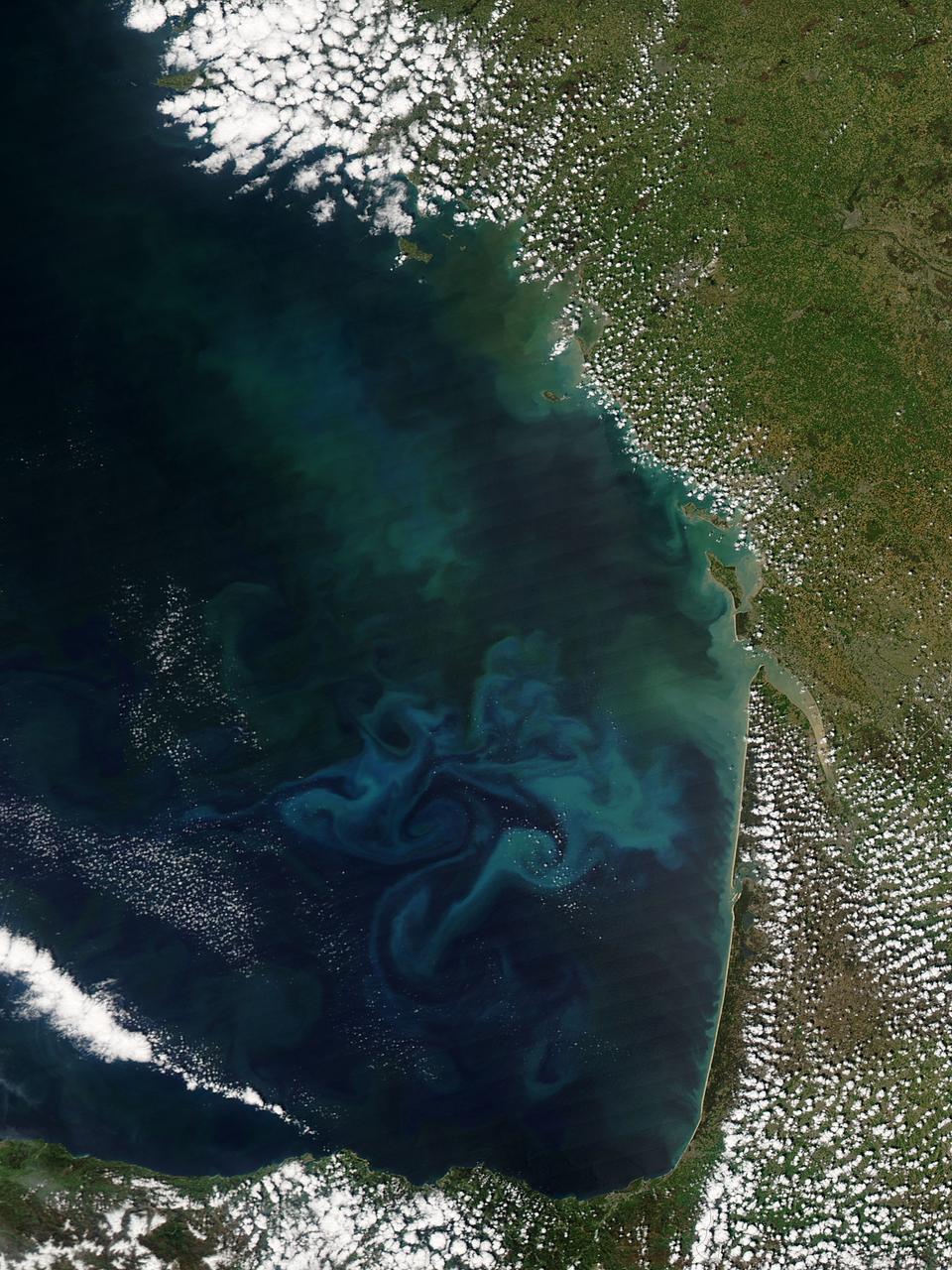 Springtime in the Bay of Biscay, off the coast of France, as in most places, is a season of abundant growth. On April 20, 2013, the Moderate Resolution Imaging Spectroradiometer (MODIS) aboard NASA’s Aqua satellite captured this true-color image of the dynamic growth of a springtime phytoplankton bloom.  The swirling colors indicate the presence of vast numbers of phytoplankton – tiny plant-like microorganisms that live in both fresh and salt water. Although these organisms live year-round in the Bay of Biscay, it is only when conditions are right that explosive blooms occur. In spring, the lengthening sunlight, the increased nutrient load swept into the Bay from ocean currents and from snowmelt carried by freshwater rivers, combined with warming waters create the perfect conditions to spur phytoplankton in to tremendous growth. The result is a swirling, multi-hued discoloration that can be easily seen from space.  Each year, typically from March through April, such blooms occur in the Bay of Biscay. By May, however, conditions are not as favorable and the blooms fade, then disappear.  Credit: NASA/GSFC/Jeff Schmaltz/MODIS Land Rapid Response Team  <b><a href="http://www.nasa.gov/audience/formedia/features/MP_Photo_Guidelines.html" rel="nofollow">NASA image use policy.</a></b>  <b><a href="http://www.nasa.gov/centers/goddard/home/index.html" rel="nofollow">NASA Goddard Space Flight Center</a></b> enables NASA’s mission through four scientific endeavors: Earth Science, Heliophysics, Solar System Exploration, and Astrophysics. Goddard plays a leading role in NASA’s accomplishments by contributing compelling scientific knowledge to advance the Agency’s mission.  <b>Follow us on <a href="http://twitter.com/NASA_GoddardPix" rel="nofollow">Twitter</a></b>  <b>Like us on <a href="http://www.facebook.com/pages/Greenbelt-MD/NASA-Goddard/395013845897?ref=tsd" rel="nofollow">Facebook</a></b>  <b>Find us on <a href="http://instagram.com/nasagoddard?vm=grid" rel="nofollow">Instagram</a></b>
