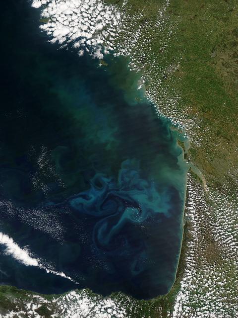 NASA image: Phytoplankton bloom in the Bay of Biscay