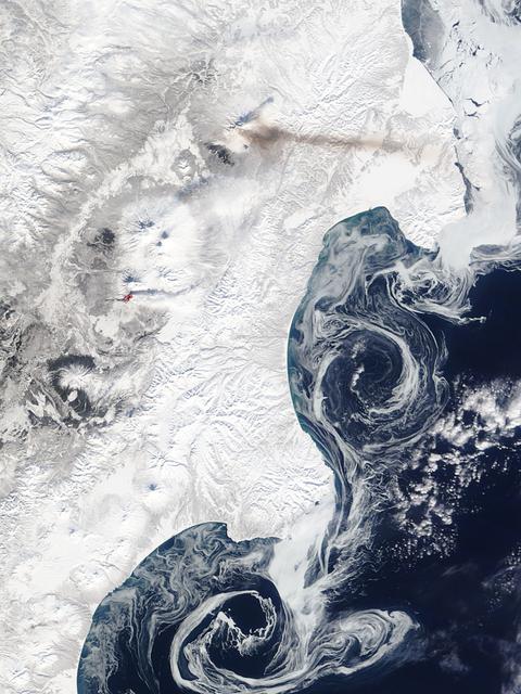 NASA image: Volcanic Activity at Shiveluch and Plosky Tolbachik