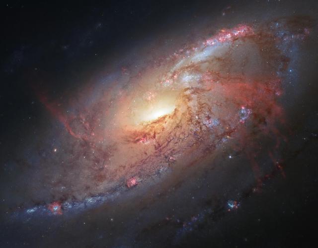 Amateur and Professional Astronomers Team Up to Create a Cosmological Masterpiece