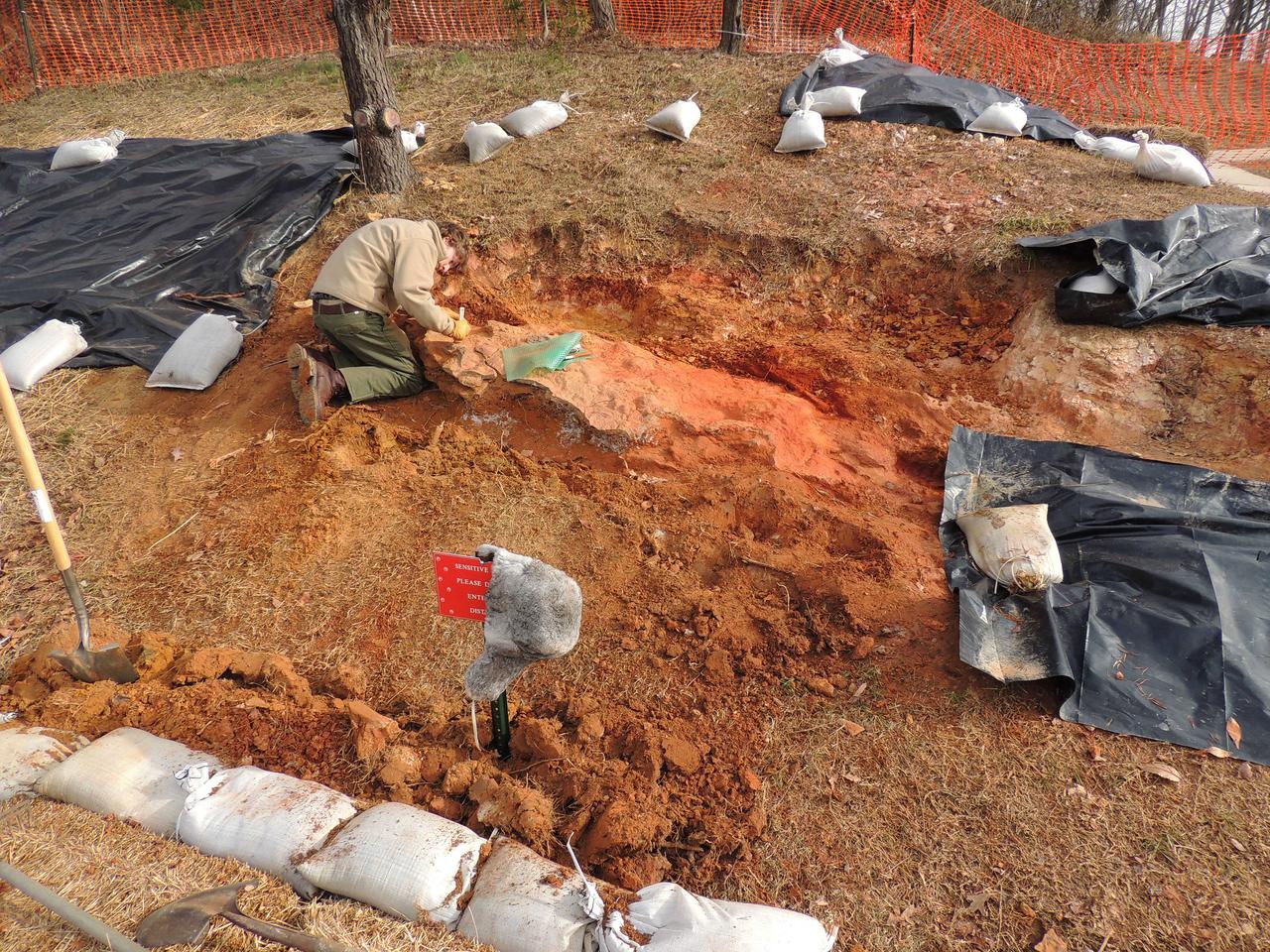 Michael Godfrey beginning the process of quarrying down around the footprint bearing layer. Photo taken December 31, 2012.  Image courtesy Stephen Godfrey  <b><a href="http://www.nasa.gov/audience/formedia/features/MP_Photo_Guidelines.html" rel="nofollow">NASA image use policy.</a></b>  <b><a href="http://www.nasa.gov/centers/goddard/home/index.html" rel="nofollow">NASA Goddard Space Flight Center</a></b> enables NASA’s mission through four scientific endeavors: Earth Science, Heliophysics, Solar System Exploration, and Astrophysics. Goddard plays a leading role in NASA’s accomplishments by contributing compelling scientific knowledge to advance the Agency’s mission.  <b>Follow us on <a href="http://twitter.com/NASA_GoddardPix" rel="nofollow">Twitter</a></b>  <b>Like us on <a href="http://www.facebook.com/pages/Greenbelt-MD/NASA-Goddard/395013845897?ref=tsd" rel="nofollow">Facebook</a></b>  <b>Find us on <a href="http://instagram.com/nasagoddard?vm=grid" rel="nofollow">Instagram</a></b>