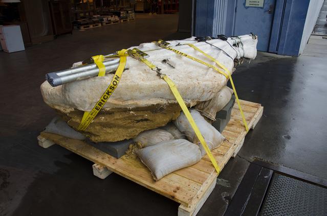 NASA image: Cretaceous Footprints Found on Goddard Campus