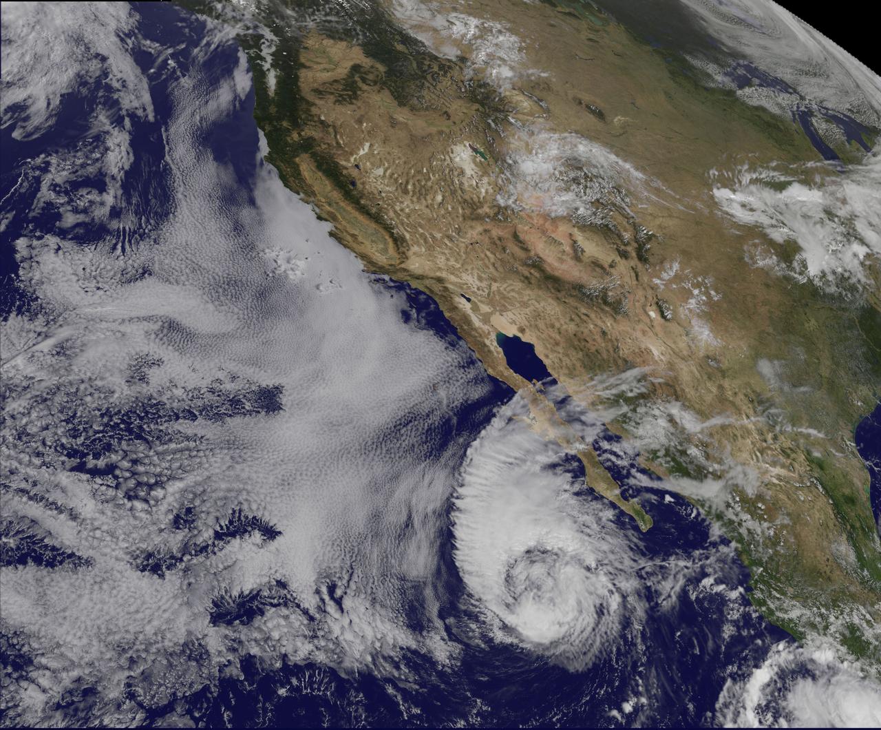This visible image of Tropical Storm Miriam was captured by NOAA's GOES-15 satellite on Sept. 26, 2012 at 10:45 a.m. EDT off the coast of Baja California. The strongest thunderstorms were in a large band of thunderstorms north and northwest of the center. Miriam is banked to the north and west by an extensive field of stratocumulus clouds. Credit:   NASA/NOAA GOES Project  ----  Once a powerful hurricane, Miriam is now a tropical storm off the coast of Baja California, Mexico. Tropical Storm Miriam was seen in the Eastern Pacific Ocean by NOAA's GOES-15 satellite, and the visible image revealed that the strongest part of the storm was north and west of the center.    NOAA's GOES-15 satellite sits in a fixed position over the western U.S. that allows it to monitor the Eastern Pacific Ocean and it captured a visible image of Tropical Storm Miriam on Sept. 26, 2012 at 10:45 a.m. EDT off the coast of Baja California. The strongest thunderstorms were north and northwest of the center in a large band, wrapping around the center of the tropical storm.  Miriam is banked to the north and west by an extensive field of stratocumulus clouds  Wind shear is taking its toll on Miriam. The National Hurricane Center noted there is an increasing &quot;separation between the low- to mid-level centers of the storm (think of the storm as having multiple layers) due to 20-25 knots of southwesterly shear associated with a shortwave trough (elongated area of low pressure) rotating around the northwestern side of the storm. At 11 a.m. EDT on Sept. 26, Tropical Storm Miriam had maximum sustained winds near 65 mph (100 kph), dropping from 70 mph (100 kmh) just six hours before. It was located about 425 miles (680 km) west-southwest of the southern tip of Baja California  Miriam was moving slowly at 6 mph (9 kmh) to the north-northwest and away from the coast. Miriam's minimum central pressure was near 992 millibars.  A Miriam continues to pull away from Baja California, rough ocean swells will keep affecting the south and west coasts today, Sept. 26, and tomorrow, Sept. 27. By Sept. 28, Friday, the ocean swells will gradually begin to subside.  Miriam is moving into a region where wind shear is forecast to increase and sea surface temperatures will fall. Those are two factors that will contribute to the weakening of the tropical storm over the next several days.  Rob Gutro NASA's Goddard Space Flight Center Image: NASA GOES Project  <b><a href="http://www.nasa.gov/audience/formedia/features/MP_Photo_Guidelines.html" rel="nofollow">NASA image use policy.</a></b>  <b><a href="http://www.nasa.gov/centers/goddard/home/index.html" rel="nofollow">NASA Goddard Space Flight Center</a></b> enables NASA’s mission through four scientific endeavors: Earth Science, Heliophysics, Solar System Exploration, and Astrophysics. Goddard plays a leading role in NASA’s accomplishments by contributing compelling scientific knowledge to advance the Agency’s mission.  <b>Follow us on <a href="http://twitter.com/NASA_GoddardPix" rel="nofollow">Twitter</a></b>  <b>Like us on <a href="http://www.facebook.com/pages/Greenbelt-MD/NASA-Goddard/395013845897?ref=tsd" rel="nofollow">Facebook</a></b>  <b>Find us on <a href="http://instagrid.me/nasagoddard/?vm=grid" rel="nofollow">Instagram</a></b>