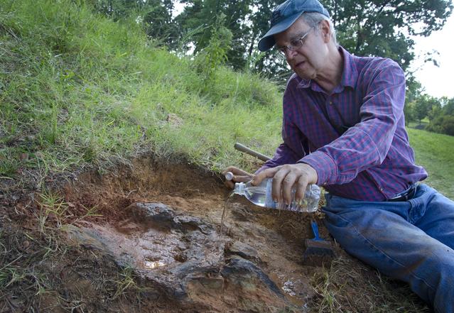 NASA image: Nodosaur Footprint Verified
