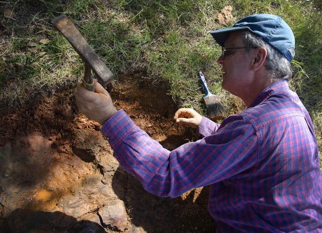 NASA image: Nodosaur Footprint Verified