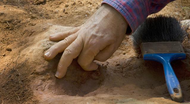 NASA image: Nodosaur Footprint Verified