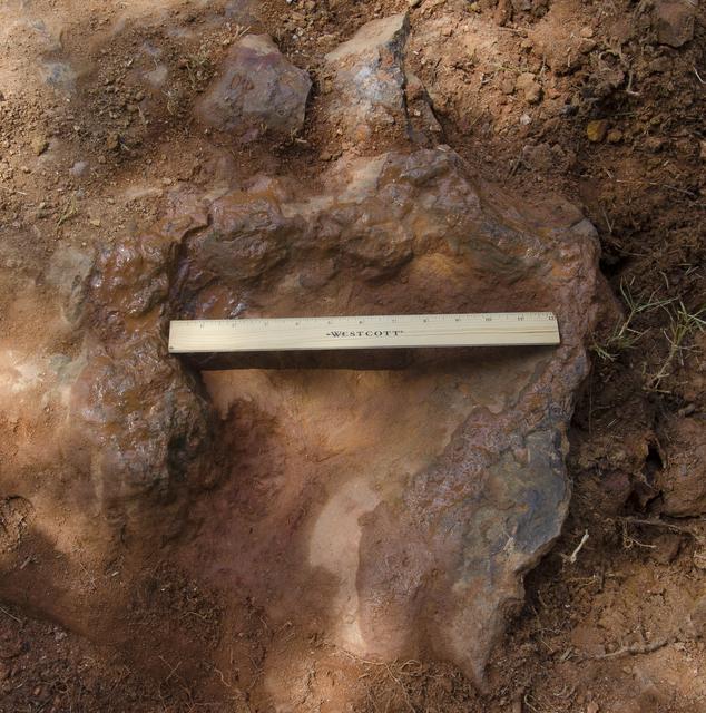 NASA image: Nodosaur Footprint Verified