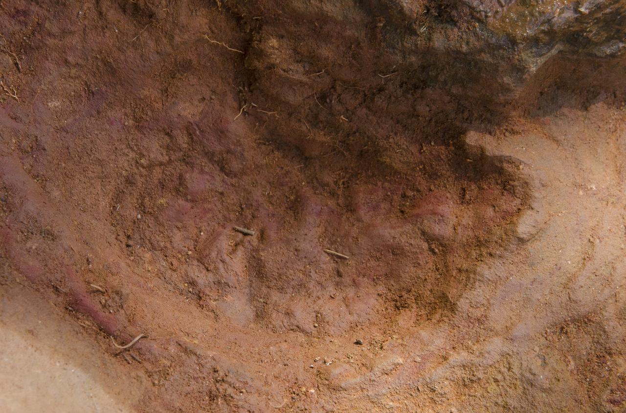 Not one, but two nodosaurs passed through the Goddard campus 110 to 112 million years ago, a USGS paleontologist confirmed. Pictured here the second track, overlapping the first, looks to be a young version of the same creature, perhaps following and sniffing along after, said Rob Weems, emeritus paleontologist and stratigrapher with the USGS. “It’s definitely a track.” To read more go to: <a href="http://1.usa.gov/P9NYg7" rel="nofollow">1.usa.gov/P9NYg7</a> Credit: NASA/GSFC/Rebecca Roth <b><a href="http://www.nasa.gov/audience/formedia/features/MP_Photo_Guidelines.html" rel="nofollow">NASA image use policy.</a></b> <b><a href="http://www.nasa.gov/centers/goddard/home/index.html" rel="nofollow">NASA Goddard Space Flight Center</a></b> enables NASA’s mission through four scientific endeavors: Earth Science, Heliophysics, Solar System Exploration, and Astrophysics. Goddard plays a leading role in NASA’s accomplishments by contributing compelling scientific knowledge to advance the Agency’s mission. <b>Follow us on <a href="http://twitter.com/NASA_GoddardPix" rel="nofollow">Twitter</a></b> <b>Like us on <a href="http://www.facebook.com/pages/Greenbelt-MD/NASA-Goddard/395013845897?ref=tsd" rel="nofollow">Facebook</a></b> <b>Find us on <a href="http://instagrid.me/nasagoddard/?vm=grid" rel="nofollow">Instagram</a></b>