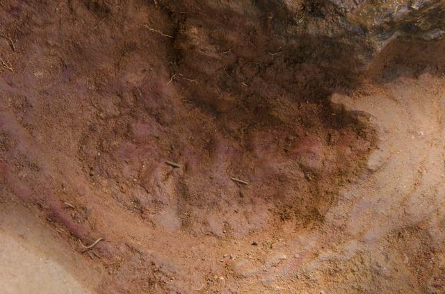 NASA image: Nodosaur Footprint Verified - Detail of Baby Footprint