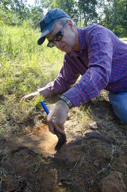 NASA image: Nodosaur Footprint Verified