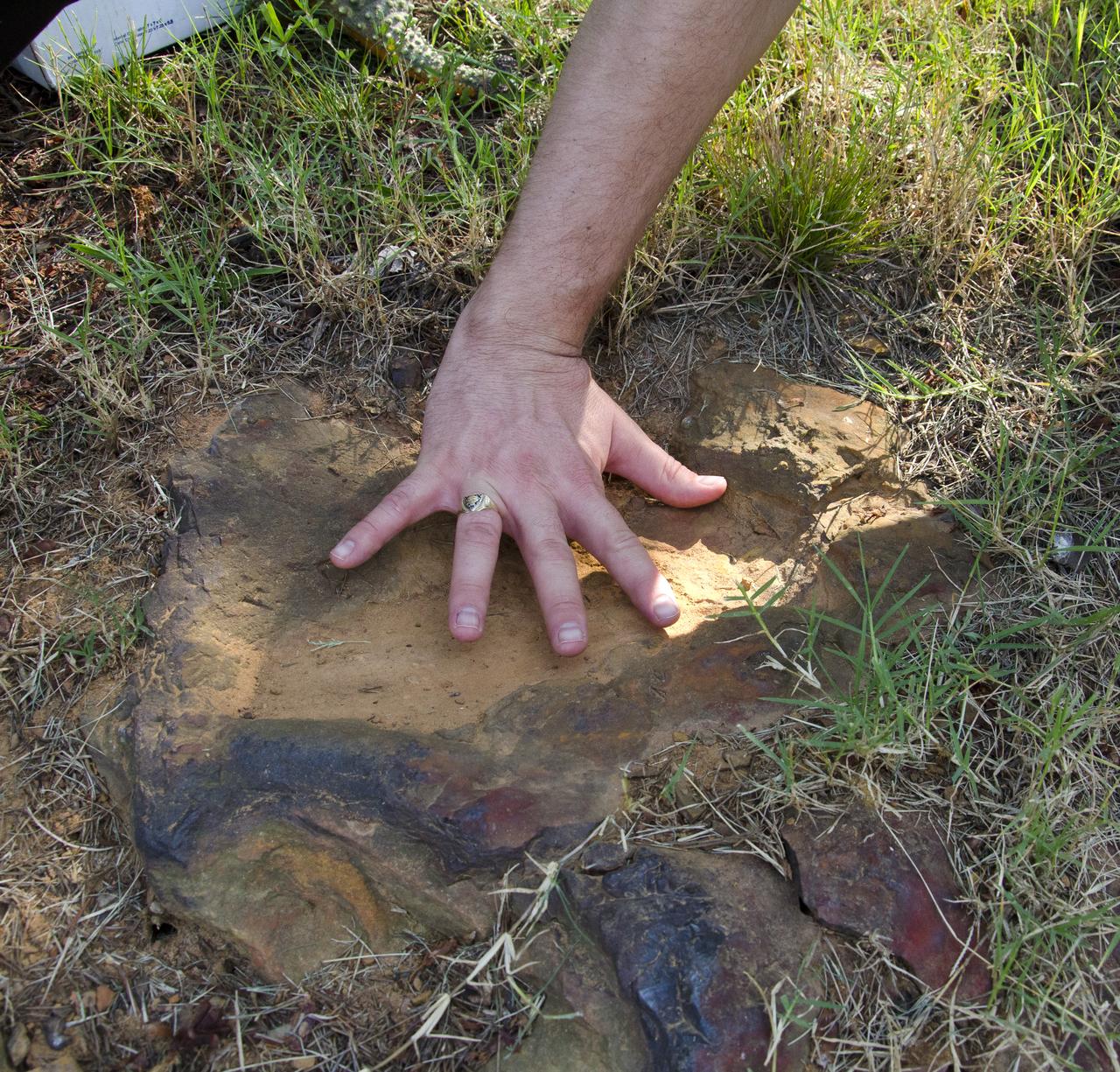 About 110 million light years away, the bright, barred spiral galaxy NGC3259 was just forming stars in dark bands of dust and gas. On Earth, a plant-eating dinosaur left footprints in the Cretaceous mud of what would later become the grounds of NASA’s Goddard Space Flight Center in Greenbelt, Md. Local dinosaur hunter Ray Stanford points out the impression to Goddard officials and members of local media. <b>To read more go to: <a href="http://www.nasa.gov/centers/goddard/news/features/2012/nodosaur.html" rel="nofollow">www.nasa.gov/centers/goddard/news/features/2012/nodosaur....</a></b> Credit: NASA/Goddard/Rebecca Roth <b><a href="http://www.nasa.gov/audience/formedia/features/MP_Photo_Guidelines.html" rel="nofollow">NASA image use policy.</a></b> <b><a href="http://www.nasa.gov/centers/goddard/home/index.html" rel="nofollow">NASA Goddard Space Flight Center</a></b> enables NASA’s mission through four scientific endeavors: Earth Science, Heliophysics, Solar System Exploration, and Astrophysics. Goddard plays a leading role in NASA’s accomplishments by contributing compelling scientific knowledge to advance the Agency’s mission. <b>Follow us on <a href="http://twitter.com/NASA_GoddardPix" rel="nofollow">Twitter</a></b> <b>Like us on <a href="http://www.facebook.com/pages/Greenbelt-MD/NASA-Goddard/395013845897?ref=tsd" rel="nofollow">Facebook</a></b> <b>Find us on <a href="http://instagrid.me/nasagoddard/?vm=grid" rel="nofollow">Instagram</a></b>