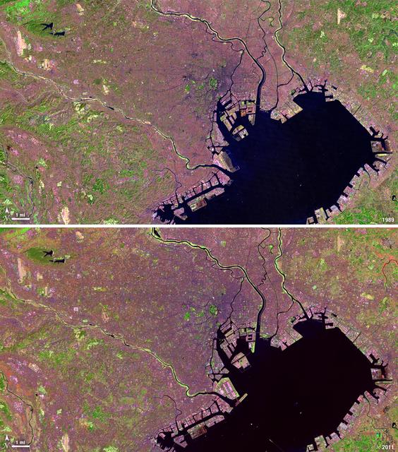 Tokyo is the world’s largest metropolitan region, home to nearly 37 million people. During the past two decades, Tokyo’s population has grown by more than 7 million. The city’s growth has continued despite Japan’s overall stagnating population, mainly due to a continued trend of centralization—citizens moving out of the country and into the city.  Landsat 4 collected this first false-color image of Tokyo on Feb. 2, 1989. The upper half of Tokyo Bay is the large water body visible in a dark blue. In the middle of the image, central Tokyo appears a deep purple just north of the bay. Twenty-two years later, Landsat 5, captured this second image of Tokyo on April 5, 2011. The urban reaches of metropolitan Tokyo have grown in both distance and density, as seen where the green color of vegetation has turned to pink and purple shades of urbanization. A major expansion of Tokyo’s Haneda Airport, can be seen south of the city, on land built out into the bay. The constant circular spot of green in the dense city-center, visible on both images, is the Tokyo Imperial Palace and its gardens. (Landsat 5 TM Bands 7,4,2)  ----  NASA and the U.S. Department of the Interior through the U.S. Geological Survey (USGS) jointly manage Landsat, and the USGS preserves a 40-year archive of Landsat images that is freely available over the Internet. The next Landsat satellite, now known as the Landsat Data Continuity Mission (LDCM) and later to be called Landsat 8, is scheduled for launch in 2013.  In honor of Landsat’s 40th anniversary in July 2012, the USGS released the LandsatLook viewer – a quick, simple way to go forward and backward in time, pulling images of anywhere in the world out of the Landsat archive.  <b><a href="http://www.nasa.gov/audience/formedia/features/MP_Photo_Guidelines.html" rel="nofollow">NASA image use policy.</a></b>  <b><a href="http://www.nasa.gov/centers/goddard/home/index.html" rel="nofollow">NASA Goddard Space Flight Center</a></b> enables NASA’s mission through four scientific endeavors: Earth Science, Heliophysics, Solar System Exploration, and Astrophysics. Goddard plays a leading role in NASA’s accomplishments by contributing compelling scientific knowledge to advance the Agency’s mission.  <b>Follow us on <a href="http://twitter.com/NASA_GoddardPix" rel="nofollow">Twitter</a></b>  <b>Like us on <a href="http://www.facebook.com/pages/Greenbelt-MD/NASA-Goddard/395013845897?ref=tsd" rel="nofollow">Facebook</a></b>  <b>Find us on <a href="http://instagrid.me/nasagoddard/?vm=grid" rel="nofollow">Instagram</a></b>