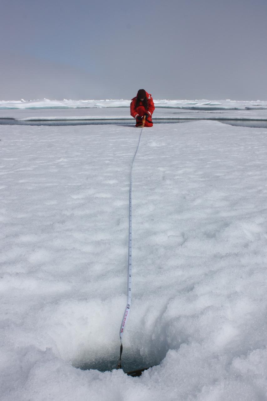 On July 10, 2011, Melinda Webster of University of Washington mapped the locations where measurements were collected during the 2011 ICESCAPE mission's fourth sea ice station in the Chukchi Sea.  The ICESCAPE mission, or &quot;Impacts of Climate on Ecosystems and Chemistry of the Arctic Pacific Environment,&quot; is a NASA shipborne investigation to study how changing conditions in the Arctic affect the ocean's chemistry and ecosystems. The bulk of the research took place in the Beaufort and Chukchi seas in summer 2010 and 2011. Credit: NASA/Kathryn Hansen  <b><a href="http://www.nasa.gov/audience/formedia/features/MP_Photo_Guidelines.html" rel="nofollow">NASA image use policy.</a></b>  <b><a href="http://www.nasa.gov/centers/goddard/home/index.html" rel="nofollow">NASA Goddard Space Flight Center</a></b> enables NASA’s mission through four scientific endeavors: Earth Science, Heliophysics, Solar System Exploration, and Astrophysics. Goddard plays a leading role in NASA’s accomplishments by contributing compelling scientific knowledge to advance the Agency’s mission.  <b>Follow us on <a href="http://twitter.com/NASA_GoddardPix" rel="nofollow">Twitter</a></b>  <b>Like us on <a href="http://www.facebook.com/pages/Greenbelt-MD/NASA-Goddard/395013845897?ref=tsd" rel="nofollow">Facebook</a></b>  <b>Find us on <a href="http://instagrid.me/nasagoddard/?vm=grid" rel="nofollow">Instagram</a></b>