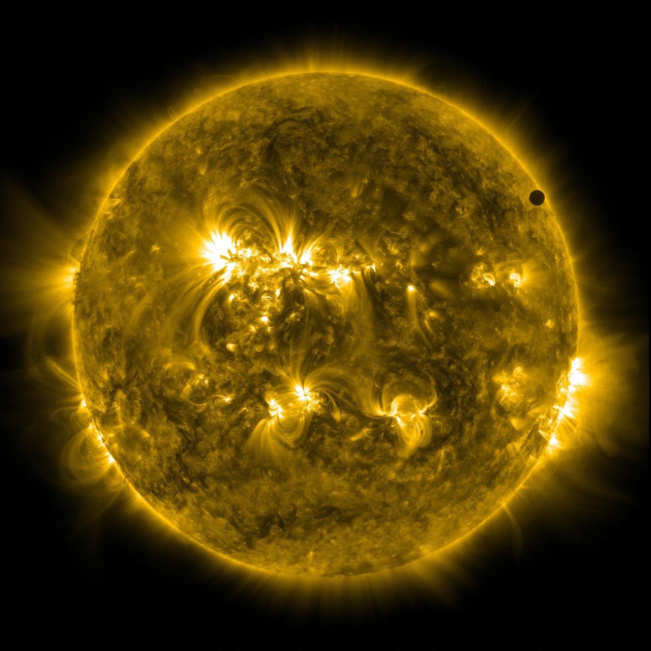 NASA image captured June 6, 2012.  On June 5-6 2012, SDO is collecting images of one of the rarest predictable solar events: the transit of Venus across the face of the sun.  This event happens in pairs eight years apart that are separated from each other by 105 or 121 years.  The last transit was in 2004 and the next will not happen until 2117.  <i>Credit: NASA/SDO, AIA</i>  <b>To read more about the 2012 Venus Transit go to: <a href="http://sunearthday.nasa.gov/transitofvenus" rel="nofollow">sunearthday.nasa.gov/transitofvenus</a> </b>   <b>Add your photos of the Transit of Venus to our Flickr Group here:  <a href="http://www.flickr.com/groups/venustransit/">www.flickr.com/groups/venustransit/</a> </b>   <b><a href="http://www.nasa.gov/audience/formedia/features/MP_Photo_Guidelines.html" rel="nofollow">NASA image use policy.</a></b>   <b><a href="http://www.nasa.gov/centers/goddard/home/index.html" rel="nofollow">NASA Goddard Space Flight Center</a></b> enables NASA’s mission through four scientific endeavors: Earth Science, Heliophysics, Solar System Exploration, and Astrophysics. Goddard plays a leading role in NASA’s accomplishments by contributing compelling scientific knowledge to advance the Agency’s mission.   <b>Follow us on <a href="http://twitter.com/NASA_GoddardPix" rel="nofollow">Twitter</a></b>   <b>Like us on <a href="http://www.facebook.com/pages/Greenbelt-MD/NASA-Goddard/395013845897?ref=tsd" rel="nofollow">Facebook</a></b>   <b>Find us on <a href="http://instagrid.me/nasagoddard/?vm=grid" rel="nofollow">Instagram</a></b>