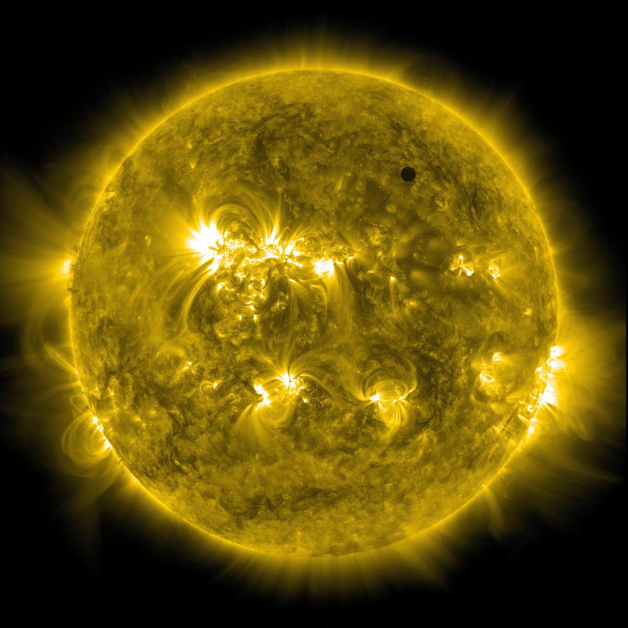NASA image captured June 5, 2012.  On June 5-6 2012, SDO is collecting images of one of the rarest predictable solar events: the transit of Venus across the face of the sun.  This event happens in pairs eight years apart that are separated from each other by 105 or 121 years.  The last transit was in 2004 and the next will not happen until 2117.  <i>Credit: NASA/SDO, AIA</i>  <b>To read more about the 2012 Venus Transit go to: <a href="http://sunearthday.nasa.gov/transitofvenus" rel="nofollow">sunearthday.nasa.gov/transitofvenus</a> </b>   <b>Add your photos of the Transit of Venus to our Flickr Group here:  <a href="http://www.flickr.com/groups/venustransit/">www.flickr.com/groups/venustransit/</a> </b>   <b><a href="http://www.nasa.gov/audience/formedia/features/MP_Photo_Guidelines.html" rel="nofollow">NASA image use policy.</a></b>   <b><a href="http://www.nasa.gov/centers/goddard/home/index.html" rel="nofollow">NASA Goddard Space Flight Center</a></b> enables NASA’s mission through four scientific endeavors: Earth Science, Heliophysics, Solar System Exploration, and Astrophysics. Goddard plays a leading role in NASA’s accomplishments by contributing compelling scientific knowledge to advance the Agency’s mission.   <b>Follow us on <a href="http://twitter.com/NASA_GoddardPix" rel="nofollow">Twitter</a></b>   <b>Like us on <a href="http://www.facebook.com/pages/Greenbelt-MD/NASA-Goddard/395013845897?ref=tsd" rel="nofollow">Facebook</a></b>   <b>Find us on <a href="http://instagrid.me/nasagoddard/?vm=grid" rel="nofollow">Instagram</a></b>