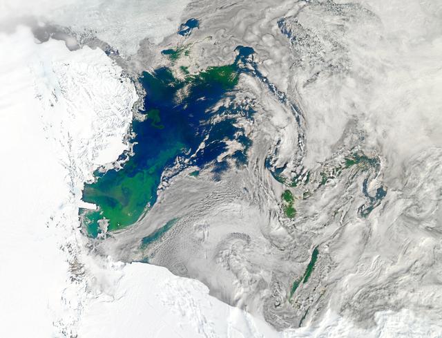 NASA image: Bloom in the Ross Sea