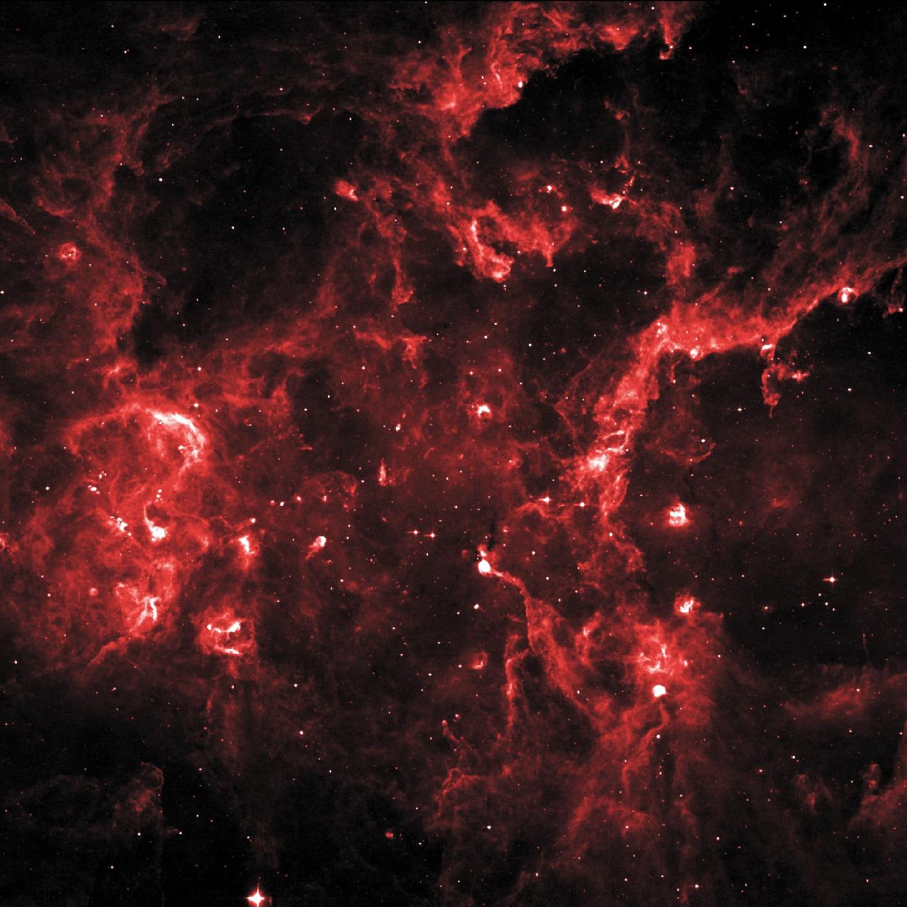 Cygnus X hosts many young stellar groupings. The combined outflows and ultraviolet radiation from the region's numerous massive stars have heated and pushed gas away from the clusters, producing cavities of hot, lower-density gas. In this 8-micron infrared image, ridges of denser gas mark the boundaries of the cavities. Bright spots within these ridges show where stars are forming today. Credit: NASA/IPAC/MSX To read more go to: <a href="http://www.nasa.gov/mission_pages/GLAST/news/cygnus-cocoon.html" rel="nofollow">www.nasa.gov/mission_pages/GLAST/news/cygnus-cocoon.html</a> <b><a href="http://www.nasa.gov/audience/formedia/features/MP_Photo_Guidelines.html" rel="nofollow">NASA image use policy.</a></b> <b><a href="http://www.nasa.gov/centers/goddard/home/index.html" rel="nofollow">NASA Goddard Space Flight Center</a></b> enables NASA’s mission through four scientific endeavors: Earth Science, Heliophysics, Solar System Exploration, and Astrophysics. Goddard plays a leading role in NASA’s accomplishments by contributing compelling scientific knowledge to advance the Agency’s mission. <b>Follow us on <a href="http://twitter.com/NASAGoddardPix" rel="nofollow">Twitter</a></b> <b>Like us on <a href="http://www.facebook.com/pages/Greenbelt-MD/NASA-Goddard/395013845897?ref=tsd" rel="nofollow">Facebook</a></b> <b>Find us on <a href="http://instagrid.me/nasagoddard/?vm=grid" rel="nofollow">Instagram</a></b>
