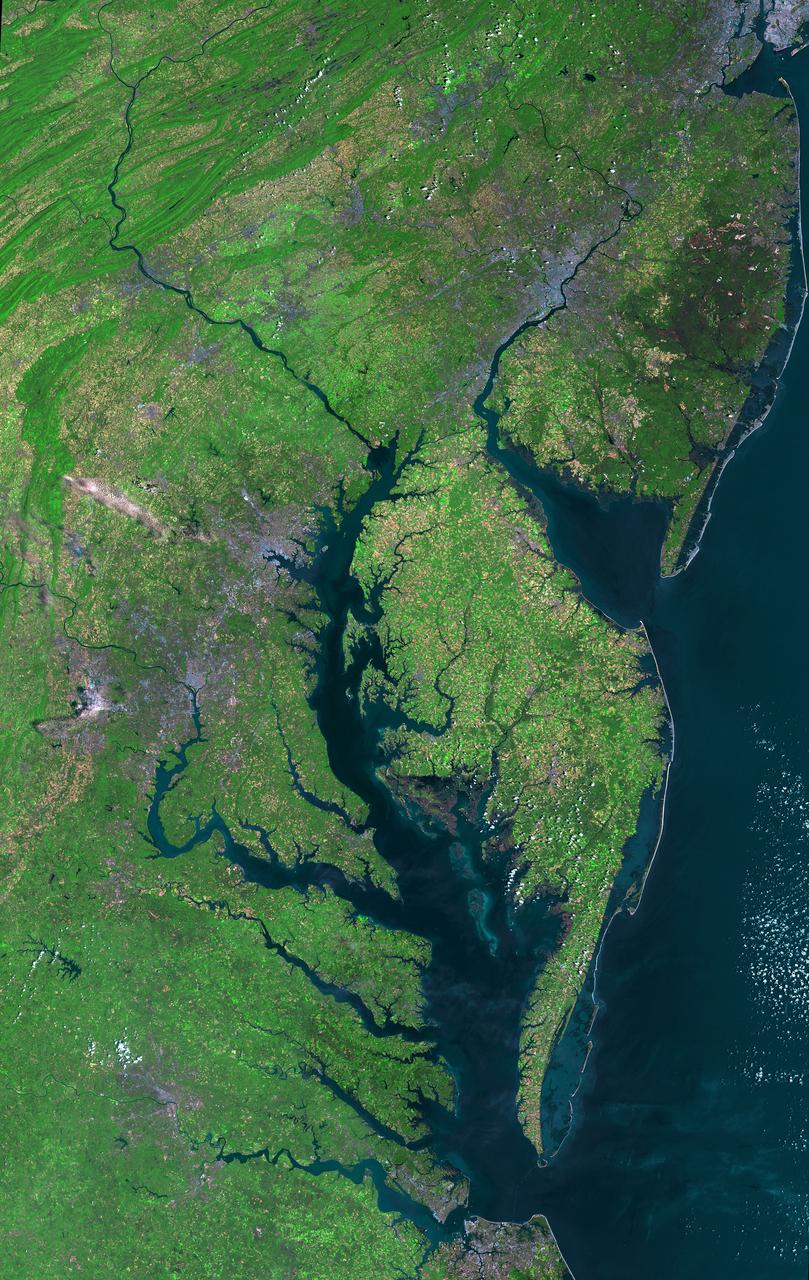 Aug 30, 2011  USGS has released a new mosaic of the Chesapeake Bay. Using six Landsat 5 images collected in July 2009 and 2011 a beautiful, seamless mosaic of the Chesapeake Bay region was created by the USGS Landsat team. The Washington D.C.-Baltimore-Philadelphia-New York City corridor can be clearly seen (look for silvery purple) as can the Chesapeake and Delaware Bays and the coastal Atlantic barrier islands from Fishermans Island, Virginia to Sandy Hook, New Jersey.  To download the full high res go to: <a href="http://landsat.gsfc.nasa.gov/news/news-archive/news_0387.html" rel="nofollow">landsat.gsfc.nasa.gov/news/news-archive/news_0387.html</a>  Credit: NASA/USGS/Landsat 5  <b><a href="http://www.nasa.gov/centers/goddard/home/index.html" rel="nofollow">NASA Goddard Space Flight Center</a></b> enables NASA’s mission through four scientific endeavors: Earth Science, Heliophysics, Solar System Exploration, and Astrophysics. Goddard plays a leading role in NASA’s accomplishments by contributing compelling scientific knowledge to advance the Agency’s mission.  <b>Follow us on <a href="http://twitter.com/NASA_GoddardPix" rel="nofollow">Twitter</a></b>  <b>Like us on <a href="http://www.facebook.com/pages/Greenbelt-MD/NASA-Goddard/395013845897?ref=tsd" rel="nofollow">Facebook</a></b>  <b>Find us on <a href="http://instagrid.me/nasagoddard/?vm=grid" rel="nofollow">Instagram</a></b>