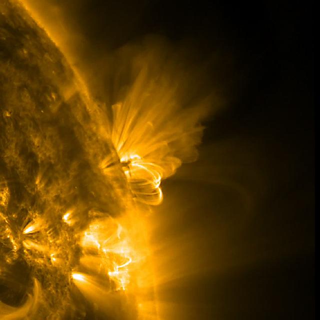 NASA image: Tangled up Active Region