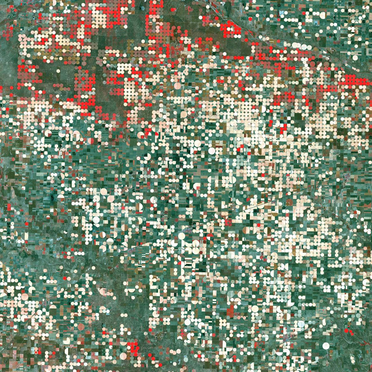 Center pivot irrigation systems create red circles of healthy vegetation in this image of croplands near Garden City, Kansas. This image was acquired by Landsat 7’s Enhanced Thematic Mapper plus (ETM+) sensor on September 25, 2000. This is a false-color composite image made using near infrared, red, and green wavelengths. The image has also been sharpened using the sensor’s panchromatic band. Credit: NASA/GSFC/Landsat <b><a href="http://www.nasa.gov/centers/goddard/home/index.html" rel="nofollow">NASA Goddard Space Flight Center</a></b> enables NASA’s mission through four scientific endeavors: Earth Science, Heliophysics, Solar System Exploration, and Astrophysics. Goddard plays a leading role in NASA’s accomplishments by contributing compelling scientific knowledge to advance the Agency’s mission. <b>Follow us on <a href="http://twitter.com/NASA_GoddardPix" rel="nofollow">Twitter</a></b> <b>Join us on <a href="http://www.facebook.com/pages/Greenbelt-MD/NASA-Goddard/395013845897?ref=tsd" rel="nofollow">Facebook</a></b>