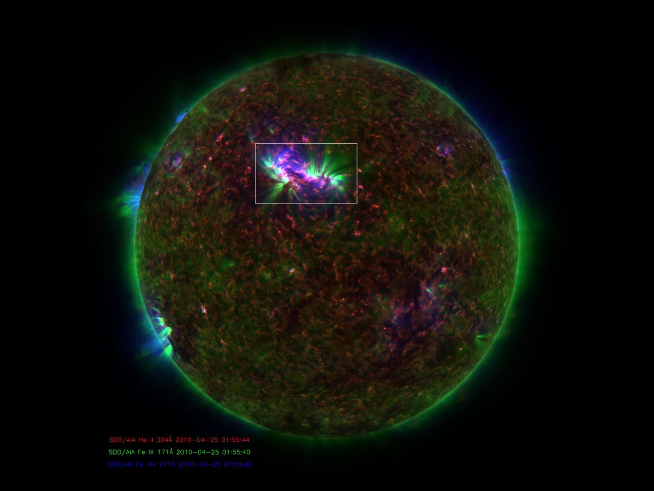 NASA image release January 6, 2010  Caption: Spicules on the sun, as observed by the Solar Dynamics Observatory. These bursts of gas jet off the surface of the sun at 150,000 miles per hour and contain gas that reaches temperatures over a million degrees.  GREENBELT, Md. -- Observations from NASA's Solar Dynamics Observatory (SDO) and the Japanese satellite Hinode show that some gas in the giant, fountain-like jets in the sun's atmosphere known as spicules can reach temperatures of millions of degrees. The finding offers a possible new framework for how the sun's high atmosphere gets so much hotter than the surface of the sun.   What makes the high atmosphere, or corona, so hot – over a million degrees, compared to the sun surface's 10,000 degrees Fahrenheit -- remains a poorly understood aspect of the sun's complicated space weather system. That weather system can reach Earth, causing auroral lights and, if strong enough, disrupting Earth's communications and power systems. Understanding such phenomena, therefore, is an important step towards better protecting our satellites and power grids.   &quot;The traditional view is that all the heating happens higher up in the corona,&quot; says Dean Pesnell, who is SDO's project scientist at NASA's Goddard Space Flight Center in Greenbelt, Md. &quot;The suggestion in this paper is that cool gas is being ejected from the sun's surface in spicules and getting heated on its way to the corona.&quot;  Spicules were first named in the 1940s, but were hard to study in detail until recently, says Bart De Pontieu of Lockheed Martin's Solar and Astrophysics Laboratory, Palo Alto, Calif. who is the lead author on a paper on this subject in the January 7, 2011 issue of Science magazine.   In visible light, spicules can be seen to send large masses of so-called plasma – the electromagnetic gas that surrounds the sun – up through the lower solar atmosphere or photosphere. The amount of material sent up is stunning, some 100 times as much as streams away from the sun in the solar wind towards the edges of the solar system. But nobody knew if they contained hot gas.  &quot;Heating of spicules to the necessary hot temperatures has never been observed, so their role in coronal heating had been dismissed as unlikely,&quot; says De Pontieu.   Now, De Pontieu's team -- which included researchers at Lockheed Martin, the High Altitude Observatory of the National Center for Atmospheric Research (NCAR) in Colorado and the University of Oslo, Norway -- was able to combine images from SDO and Hinode to produce a more complete picture of the gas inside these gigantic fountains.   The scientists found that a large fraction of the gas is heated to a hundred thousand degrees, while a small fraction is heated to millions of degrees. Time-lapsed images show that this material spews up into the corona, with most falling back down towards the surface of the sun. However, the small fraction of the gas that is heated to millions of degrees does not immediately return to the surface. Given the large number of spicules on the Sun, and the amount of material in the spicules, the scientists believe that if even some of that super hot plasma stays aloft it would make a contribution to coronal heating.   Astrophysicist Jonathan Cirtain, who is the U.S. project scientist for Hinode at NASA's Marshall Space Flight Center, Huntsville, Ala., says that incorporating such new information helps address an important question that reaches far beyond the sun. &quot;This breakthrough in our understanding of the mechanisms which transfer energy from the solar photosphere to the corona addresses one of the most compelling questions in stellar astrophysics: How is the atmosphere of a star heated?&quot; he says. &quot;This is a fantastic discovery, and demonstrates the muscle of the NASA Heliophysics System Observatory, comprised of numerous instruments on multiple observatories.&quot;  Hinode is the second mission in NASA's Solar Terrestrial Probes program, the goal of which is to improve understanding of fundamental solar and space physics processes. The mission is led by the Japan Aerospace Exploration Agency (JAXA) and the National Astronomical Observatory of Japan (NAOJ). The collaborative mission includes the U.S., the United Kingdom, Norway and Europe. NASA Marshall manages Hinode U.S. science operations and oversaw development of the scientific instrumentation provided for the mission by NASA, academia and industry. The Lockheed Martin Advanced Technology Center is the lead U.S. investigator for the Solar Optical Telescope on Hinode.  SDO is the first mission in a NASA science program called Living With a Star, the goal of which is to develop the scientific understanding necessary to address those aspects of the sun-Earth system that directly affect our lives and society. NASA Goddard built, operates, and manages the SDO spacecraft for NASA's Science Mission Directorate in Washington.   To learn more go to: <a href="http://www.nasa.gov/mission_pages/sdo/news/news20110106-spicules.html" rel="nofollow">www.nasa.gov/mission_pages/sdo/news/news20110106-spicules...</a>  Credit: NASA Goddard/SDO/AIA  <b><a href="http://www.nasa.gov/centers/goddard/home/index.html" rel="nofollow">NASA Goddard Space Flight Center</a></b> enables NASA’s mission through four scientific endeavors: Earth Science, Heliophysics, Solar System Exploration, and Astrophysics. Goddard plays a leading role in NASA’s accomplishments by contributing compelling scientific knowledge to advance the Agency’s mission.  <b>Follow us on <a href="http://twitter.com/NASA_GoddardPix" rel="nofollow">Twitter</a></b>  <b>Join us on <a href="http://www.facebook.com/pages/Greenbelt-MD/NASA-Goddard/395013845897?ref=tsd" rel="nofollow">Facebook</a></b>