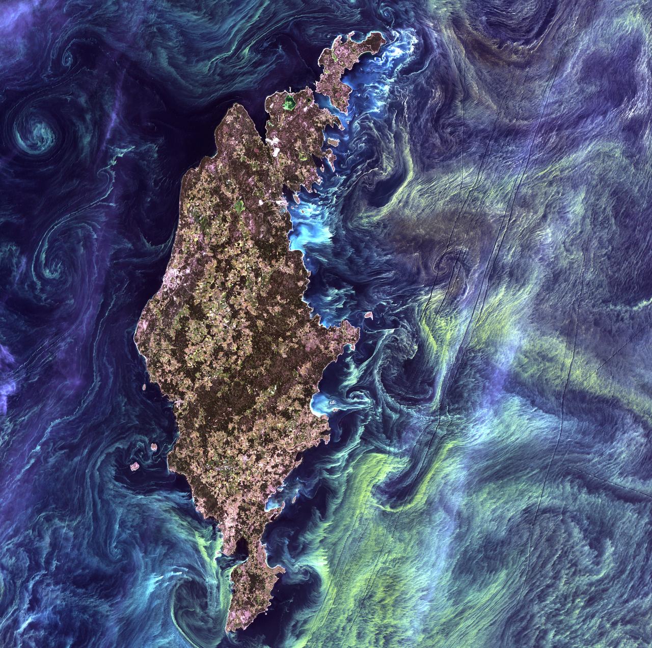 Van Gogh from Space - July 13th, 2005  Description: In the style of Van Gogh's painting &quot;Starry Night,&quot; massive congregations of greenish phytoplankton swirl in the dark water around Gotland, a Swedish island in the Baltic Sea. Phytoplankton are microscopic marine plants that form the first link in nearly all ocean food chains. Population explosions, or blooms, of phytoplankton, like the one shown here, occur when deep currents bring nutrients up to sunlit surface waters, fueling the growth and reproduction of these tiny plants.  Credit: USGS/NASA/Landsat 7  To learn more about the Landsat satellite go to: <a href="http://landsat.gsfc.nasa.gov/" rel="nofollow">landsat.gsfc.nasa.gov/</a>  <b><a href="http://www.nasa.gov/centers/goddard/home/index.html" rel="nofollow">NASA Goddard Space Flight Center</a></b> enables NASA’s mission through four scientific endeavors: Earth Science, Heliophysics, Solar System Exploration, and Astrophysics. Goddard plays a leading role in NASA’s accomplishments by contributing compelling scientific knowledge to advance the Agency’s mission.  <b>Follow us on <a href="http://twitter.com/NASA_GoddardPix" rel="nofollow">Twitter</a></b>  <b>Join us on <a href="http://www.facebook.com/pages/Greenbelt-MD/NASA-Goddard/395013845897?ref=tsd" rel="nofollow">Facebook</a></b>