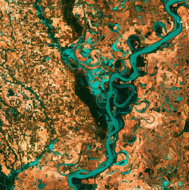 NASA image: Meandering Mississippi