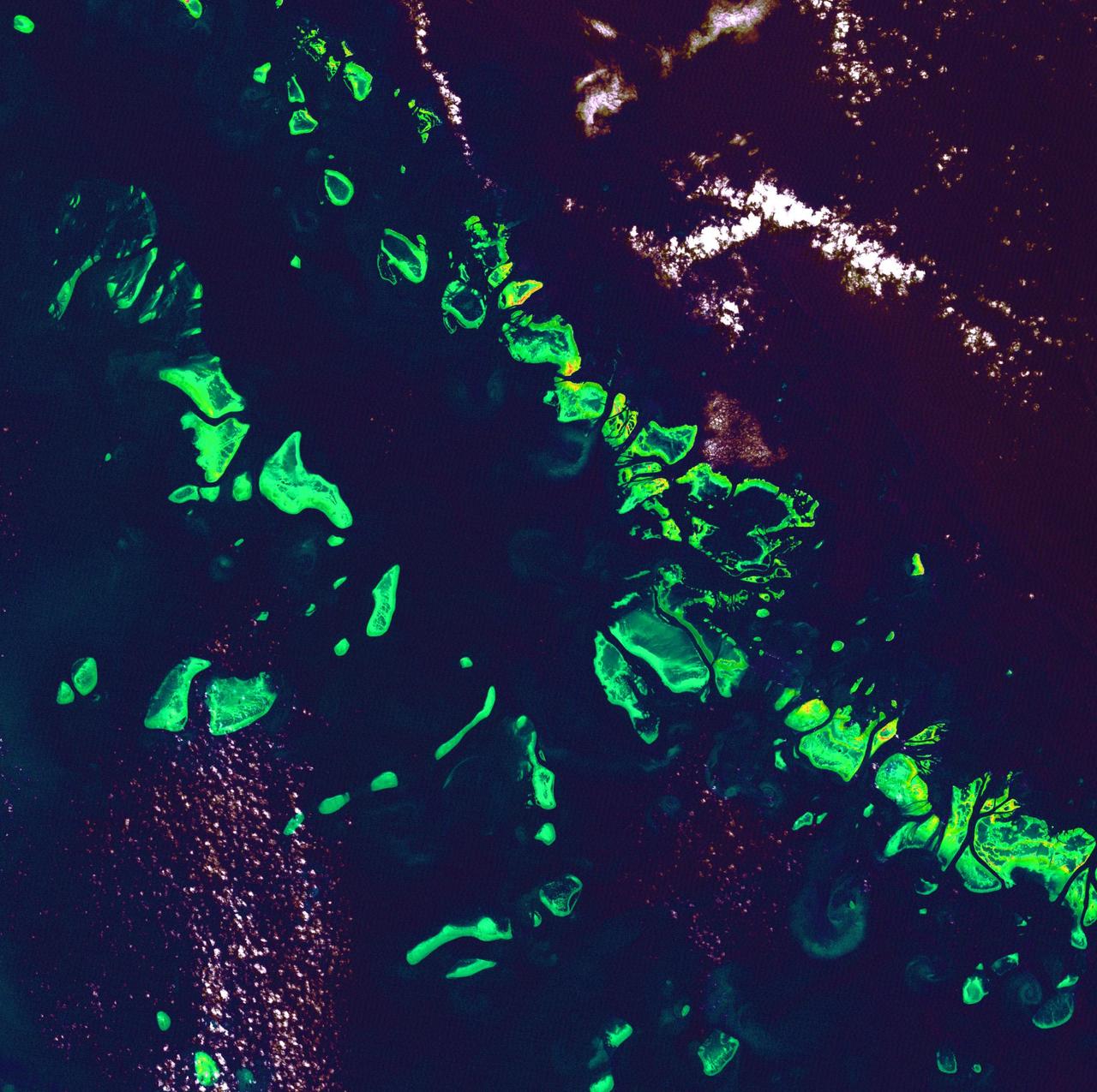 Great Barrier Reef - August 8th, 1999  Description: What might be mistaken for dinosaur bones being unearthed at a paleontological dig are some of the individual reefs that make up the Great Barrier Reef, the world's largest tropical coral reef system. The reef stretches more than 2,000 kilometers (1,240 miles) along the coast of Queensland, Australia. It supports astoundingly complex and diverse communities of marine life and is the largest structure on the planet built by living organisms.   Credit: USGS/NASA/Landsat 7  To learn more about the Landsat satellite go to: <a href="http://landsat.gsfc.nasa.gov/" rel="nofollow">landsat.gsfc.nasa.gov/</a>  <b><a href="http://www.nasa.gov/centers/goddard/home/index.html" rel="nofollow">NASA Goddard Space Flight Center</a></b> enables NASA’s mission through four scientific endeavors: Earth Science, Heliophysics, Solar System Exploration, and Astrophysics. Goddard plays a leading role in NASA’s accomplishments by contributing compelling scientific knowledge to advance the Agency’s mission.  <b>Follow us on <a href="http://twitter.com/NASA_GoddardPix" rel="nofollow">Twitter</a></b>  <b>Join us on <a href="http://www.facebook.com/pages/Greenbelt-MD/NASA-Goddard/395013845897?ref=tsd" rel="nofollow">Facebook</a></b>