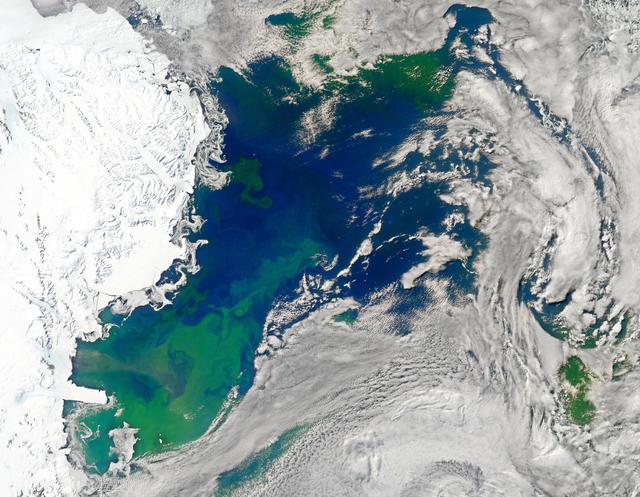 NASA image: Bloom in the Ross Sea [detail]