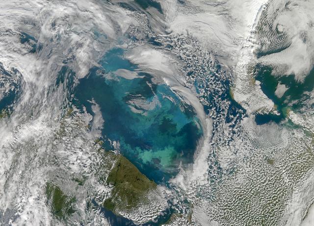 NASA image: Phytoplankton Bloom in the Barents Sea